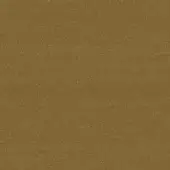 Brushed brass surface with a matte finish, displaying warm gold tones and a fine grain texture, evenly lit in a studio setting.